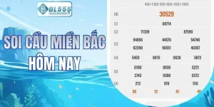 SOI CẦU MIỀN BẮC HÔM NAY